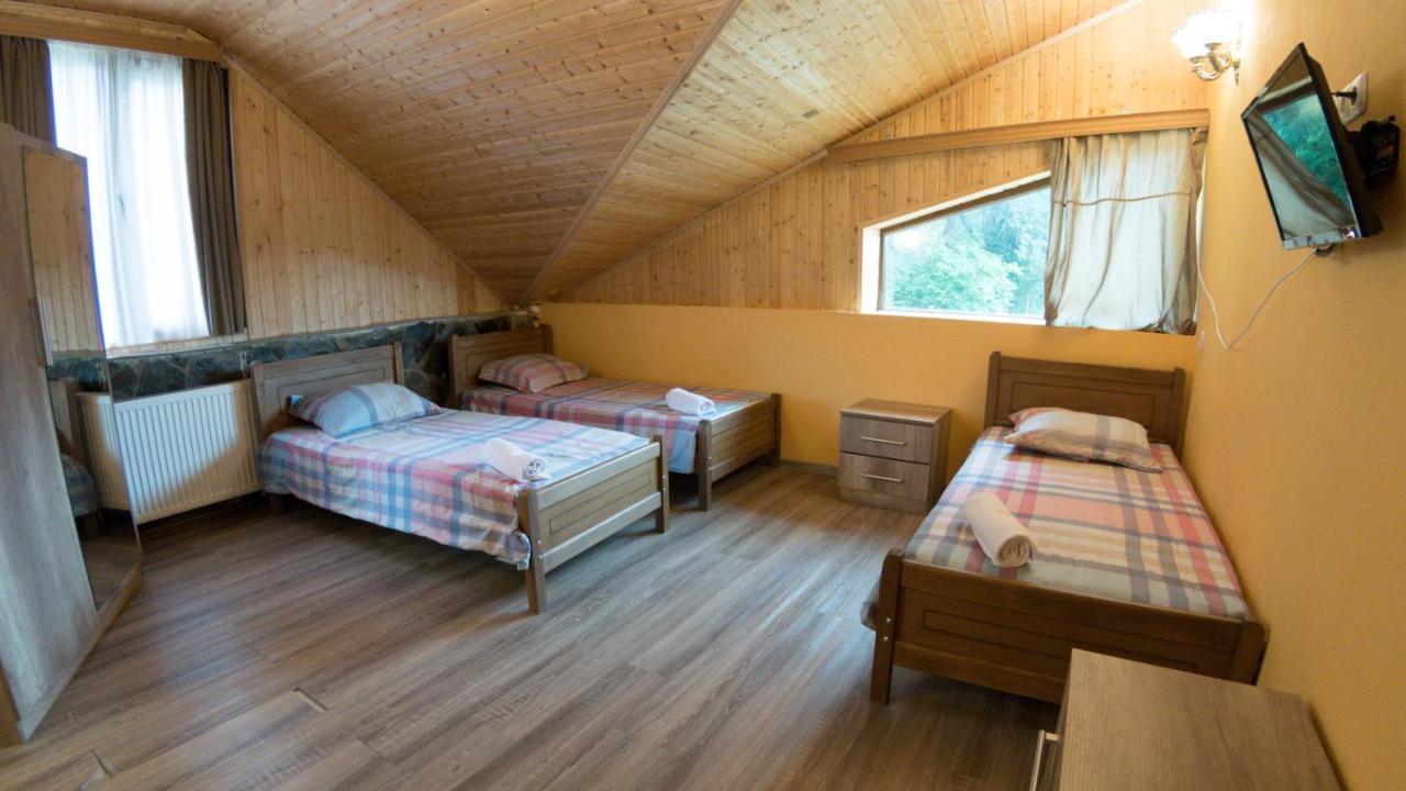 Hotel Eco House In Bakuriani Exteriér fotografie