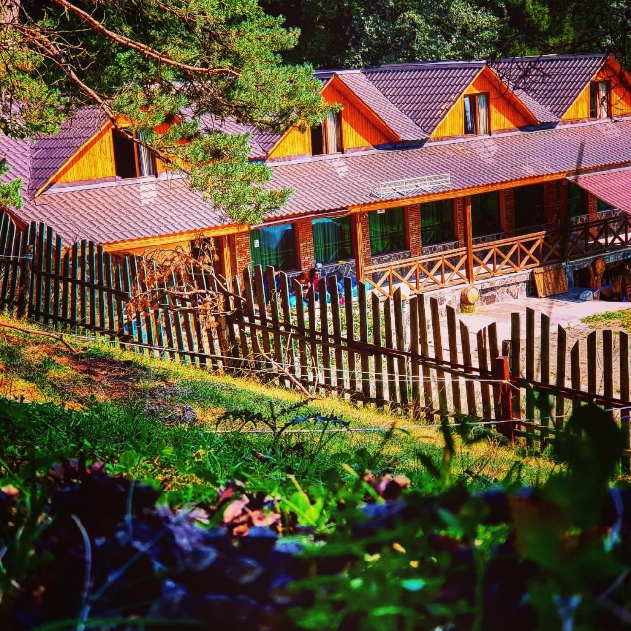 Hotel Eco House In Bakuriani Exteriér fotografie