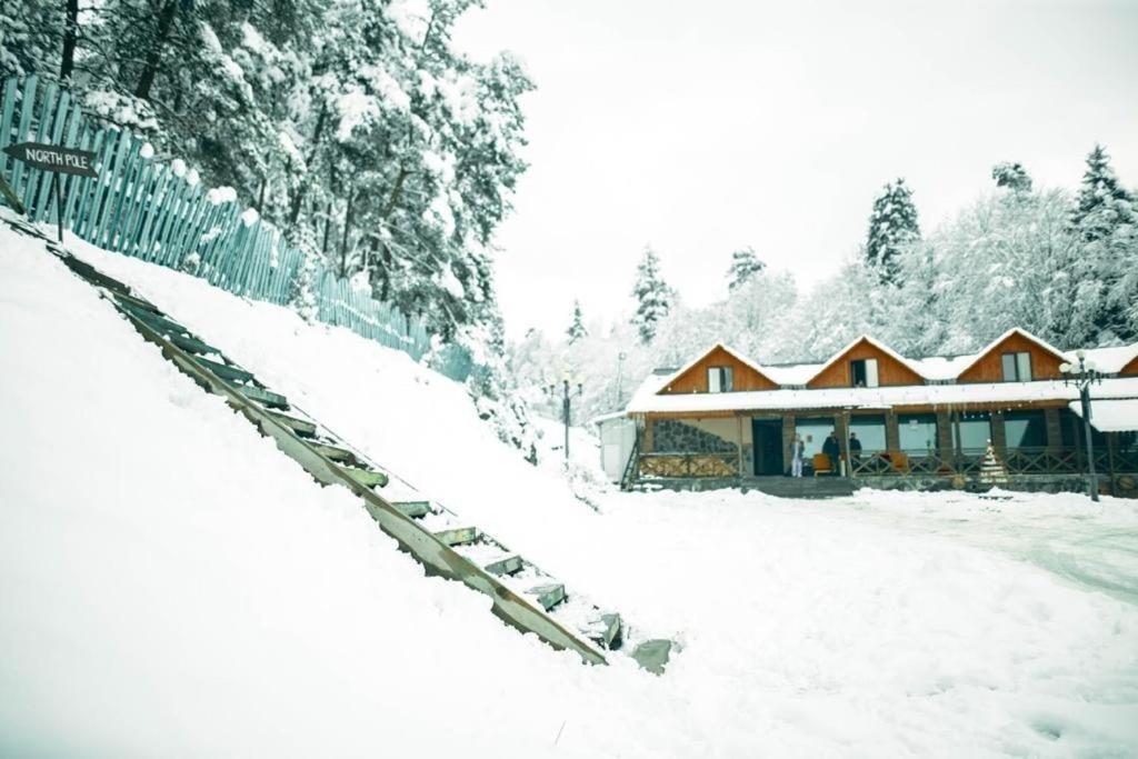 Hotel Eco House In Bakuriani Exteriér fotografie