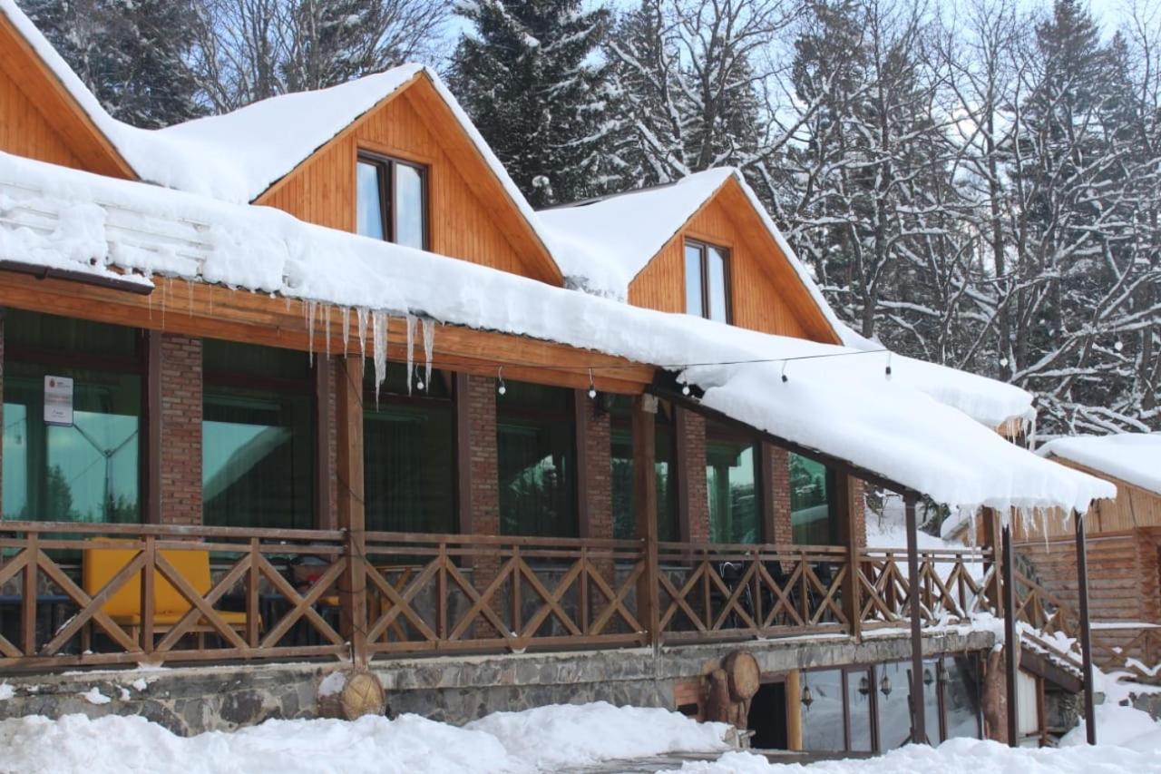 Hotel Eco House In Bakuriani Exteriér fotografie